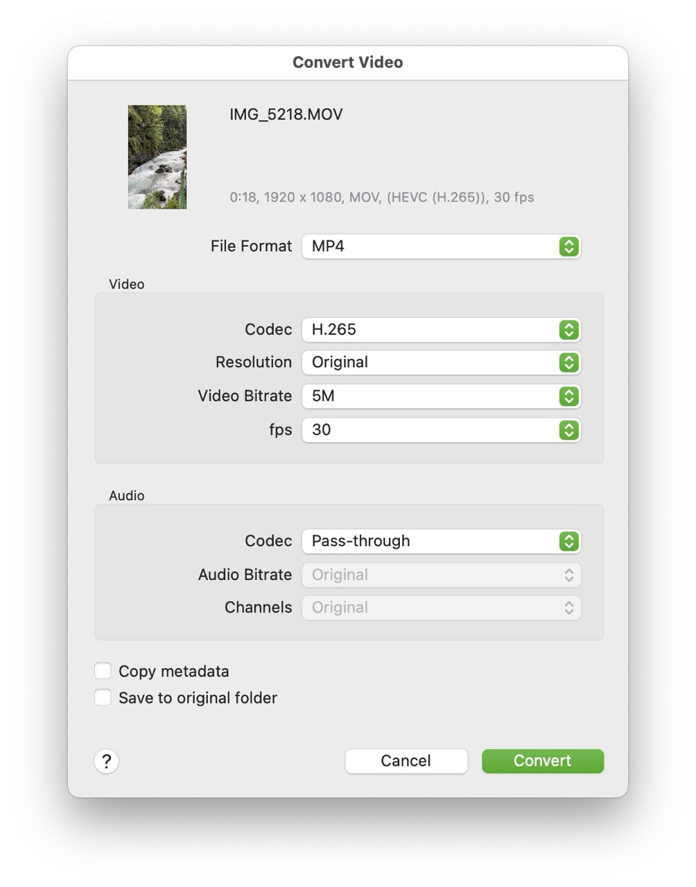 video converter GUI.jpg