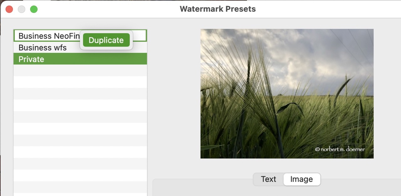duplicate watermark preset.jpg