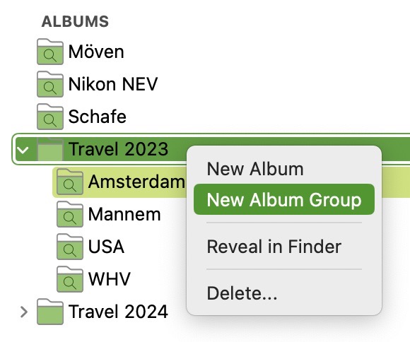 Album Group Context menu.jpg