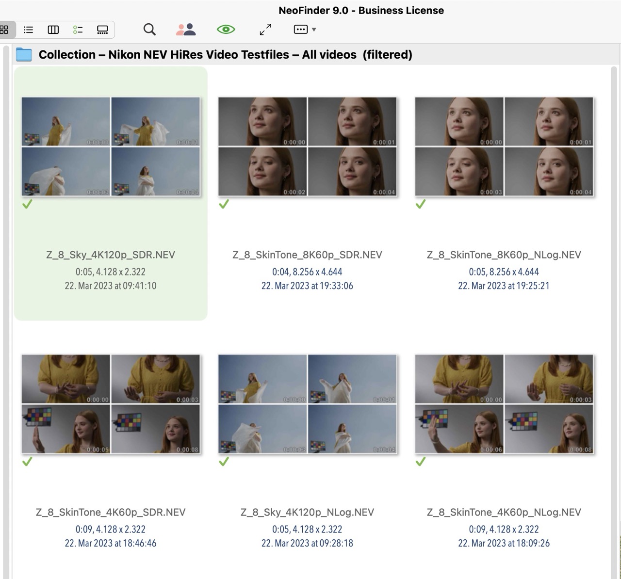 NEV sample files.jpg